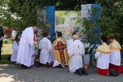 IMG_7953_DxO