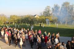 IMG_0278-Copy