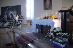 IMG_0295-Copy