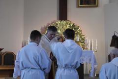 IMG_0308-Copy